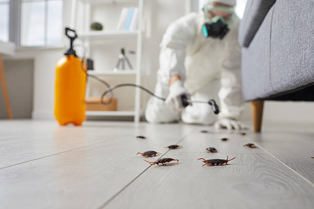 Commercial Rodent Management in Sheridan